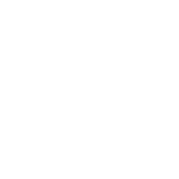 NovaLupaX